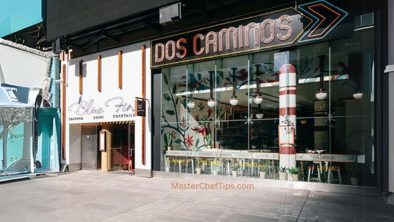 Best Mexican Restaurant In Time Square NYC